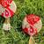 handmade decorative hanging  traditional wall hanging home temple decoration (pack of 2)