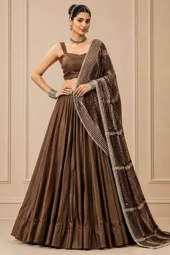 Brown Moonga Silk Blend Lehenga Choli