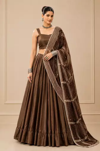 Brown Moonga Silk Blend Lehenga Choli