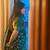 Green color art silk blend sarees with blouse