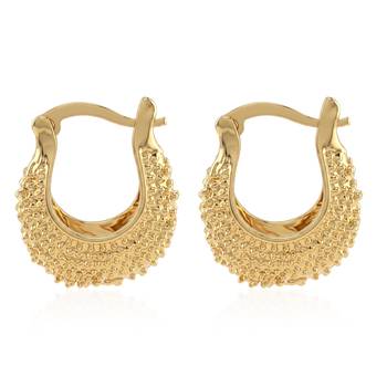 Brass hold plated fashion hoop earrings for women 1