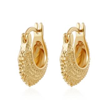 Brass hold plated fashion hoop earrings for women 2
