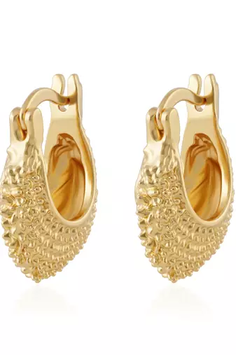 Brass hold plated fashion hoop earrings for women