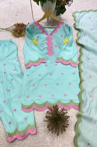 sky blue color embroidery work border chanderi salwar suit