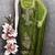 women's green unstitched roman silk dress material with emblished dupatta