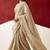 beige color beautiful woven designer tissue fabric saree