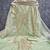women's light green unstitched organza dress material with embroidered dupatta