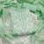 women's light green unstitched chanderi cotton dress material & embroidered dupatta