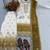 White Color  Embroidery Work  Georgette Salwar Suit