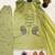 Pista mal chanderi cotton party wear embroidery farshi salwar suit set