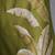 Olive green chanderi a-line dress with slip (2pcs set)
