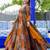 Multicolor rayon digital print anarkali gown with dupatta set