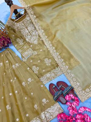 Mustard Color  Embroidery and Sequence Work Salwar Suit 4