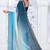 Sequin zarkan embroidered work sky blue color satin saree