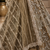 Beige color Shimmering silver-gold sequins Dori embroidery Fine cut-dana work net Lehenga Choli set