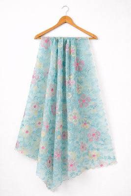Blue organza dupatta 1