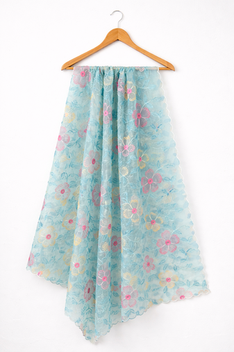 Blue organza dupatta