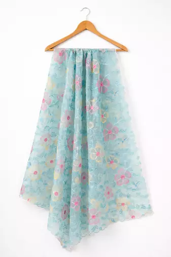 Blue organza dupatta
