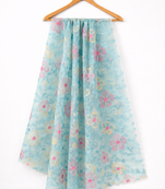 Blue organza dupatta