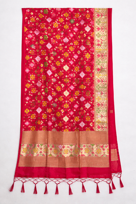 Patola dupatta 2