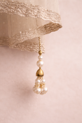 Pear net dupatta 3