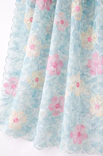 Blue organza dupatta