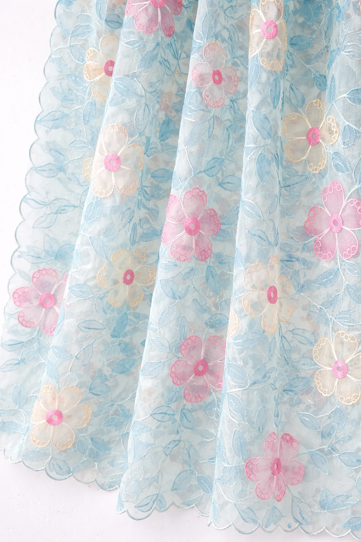 Blue organza dupatta