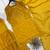 mustard color embroidery and sequince work georgette salwar suit