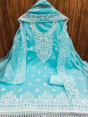 Sky blue chanderi silk embroidered salwar kameez 3