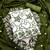 White silk blend embroidered salwar kameez