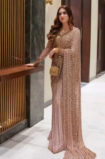 Light pink premium butterfly net embellished saree