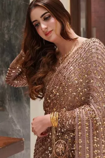 Light pink premium butterfly net embellished saree