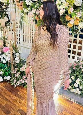 Light pink premium butterfly net embellished saree 3