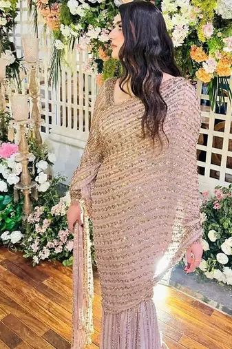 Light pink premium butterfly net embellished saree