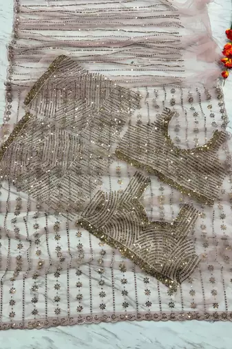 Light pink premium butterfly net embellished saree