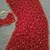 Elegant red embroidered saree