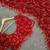 Elegant red embroidered saree