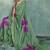 green floral cotton blend bollywood saree with blouse