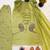 Lime cotton poly embroidered farshi salwar set