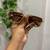 Classy shades  - navratri