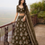 Olive Wedding Embroidered Net Lehenga Choli with Dupatta