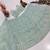 light green net embroidered traditional lehenga choli