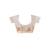 Cream viscose organza with embroideery saree with blouse piece