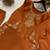orange color embroidery work silk blend  salwar suit
