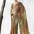 olive green & brown faux organza saree with embellished motifs & printed blouse