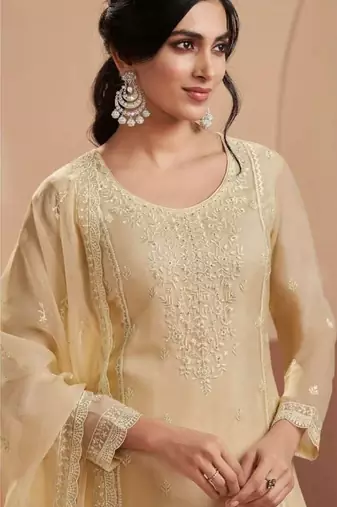 Beige siffon semi stitched suit with embroidery & Sequin work