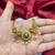 Antique Gold Peacock Necklace Earrings Set, Temple Jewelry with Pearl Drops