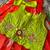 Kids red soft organza zari weaving gown with raw silk maggam embroidery work koti