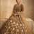 new designer party wear lehanga indian and pakistani 