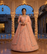 new facy designer light weight lehanga dress